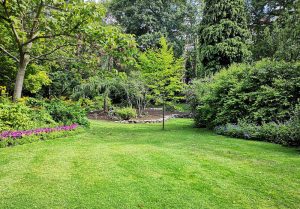Optimiser l'expérience du jardin à Bieville